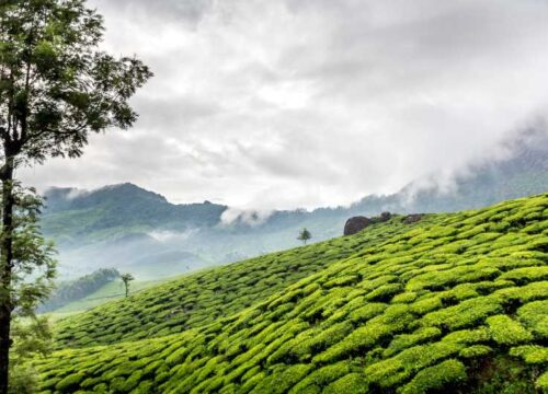 Top 10 hill stations in South India