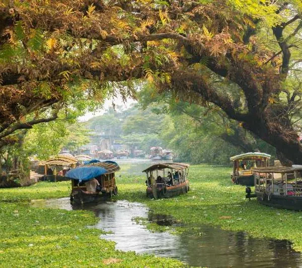 KERALA TOUR