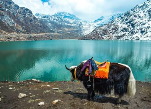 Discover the Beauty of Sikkim with Sacred India Tour & Travels