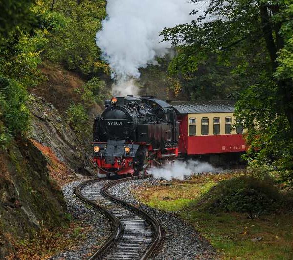 DARJEELING TOUR