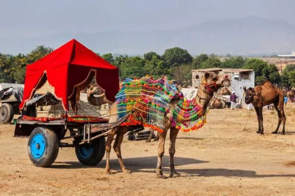PUSHKAR FAIR