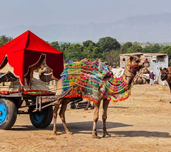 PUSHKAR FAIR