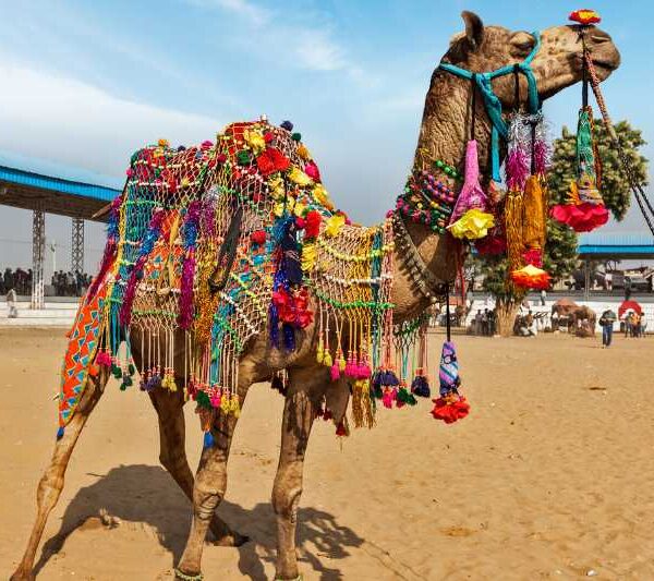 PUSHKAR FAIR