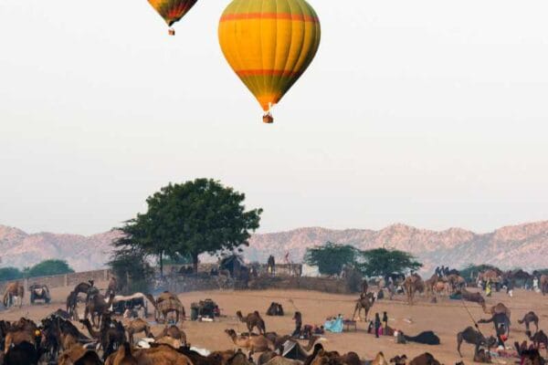 PUSHKAR FAIR