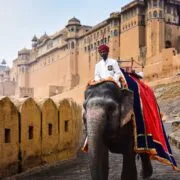 Rajasthan Tour
