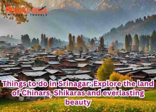 Things to do in Srinagar: Explore the land of Chinars, Shikaras and everlasting beauty