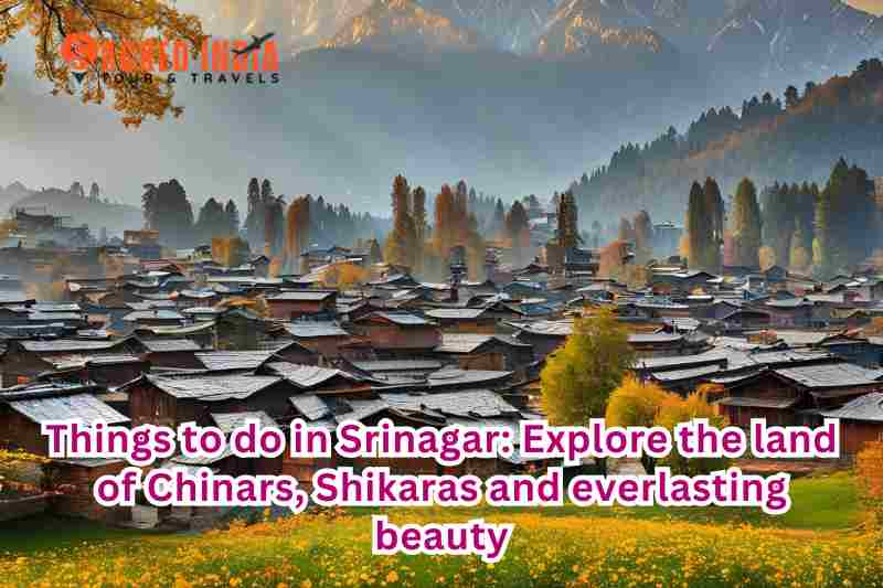 Things to do in Srinagar: Explore the land of Chinars, Shikaras and everlasting beauty